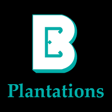 Boustead Plantation client logo