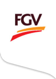 FGV client logo